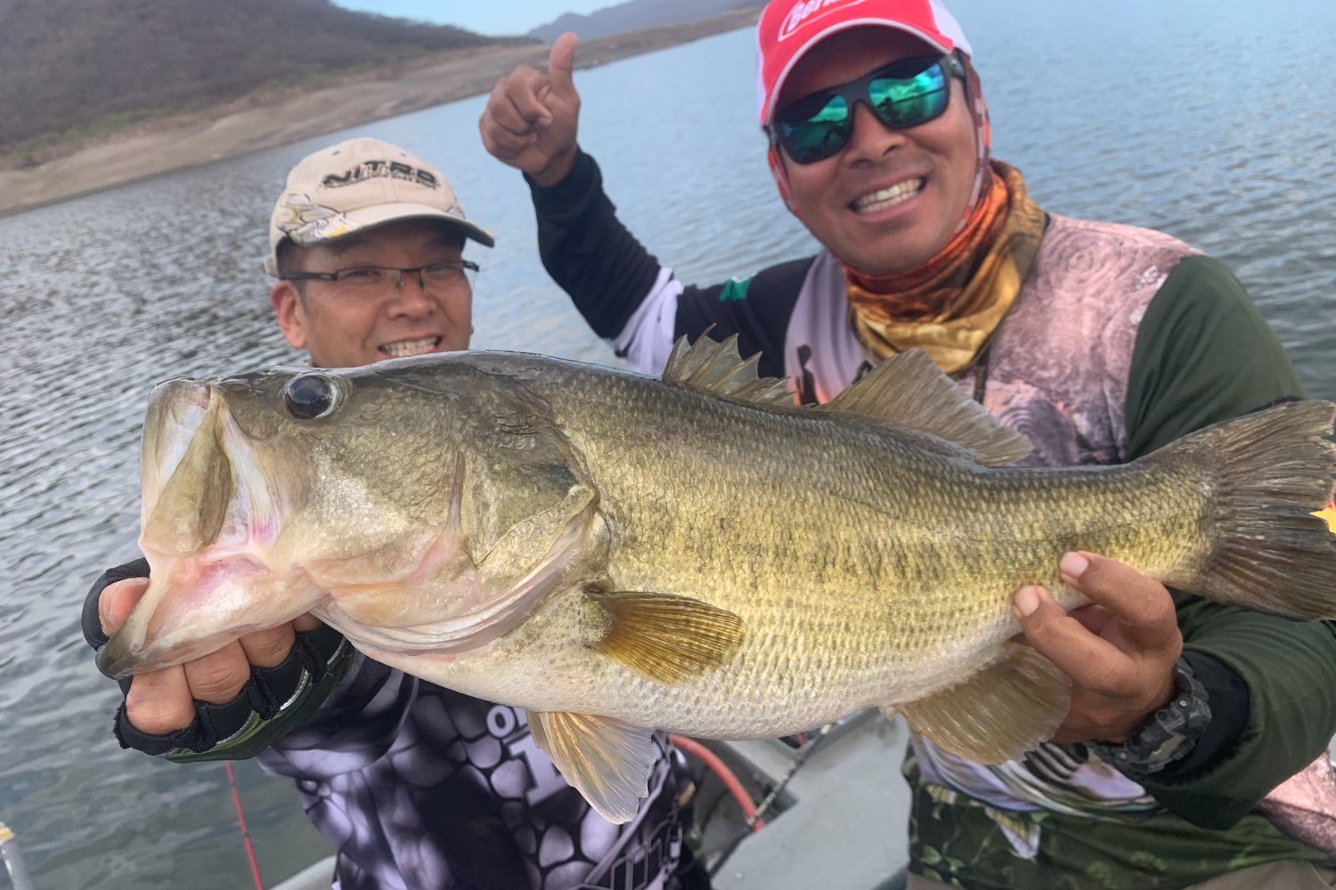 丸々と太った大型ラージマウスバスの魚体
